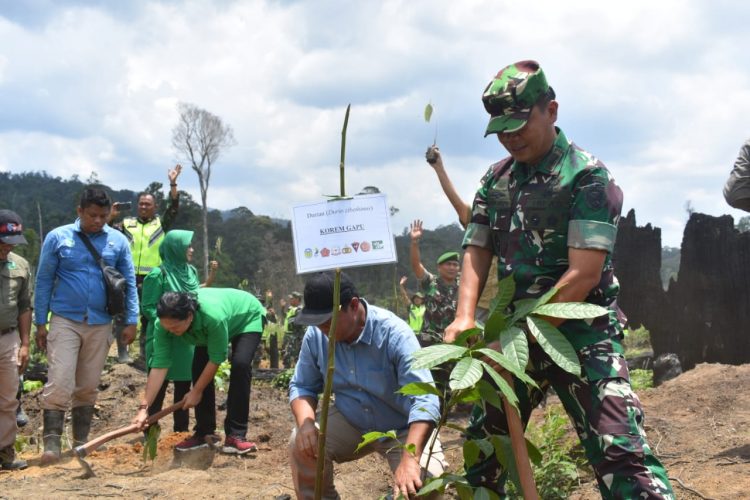 di Kawasan Pemulihan PT. Alam Bukit Tiga Puluh (ABT) Wilayah Kodim 0416/Bute, Juma't (28/2)/ foto: doc.ist