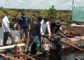 Kepala BRG Nazir Foead  Meninjau Proyek Sekat Kanal di Desa Seponjen Muaro Jambi/Foto: Datut