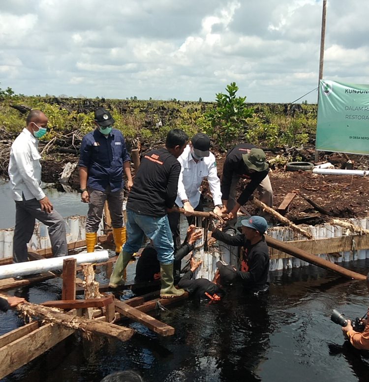 Kepala BRG Nazir Foead  Meninjau Proyek Sekat Kanal di Desa Seponjen Muaro Jambi/Foto: Datut