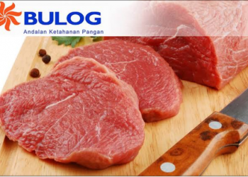 Daging Beku Bulog/ Foto: ist