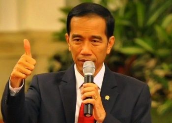 Presiden Jokowi Dodo/ Foto: st.net