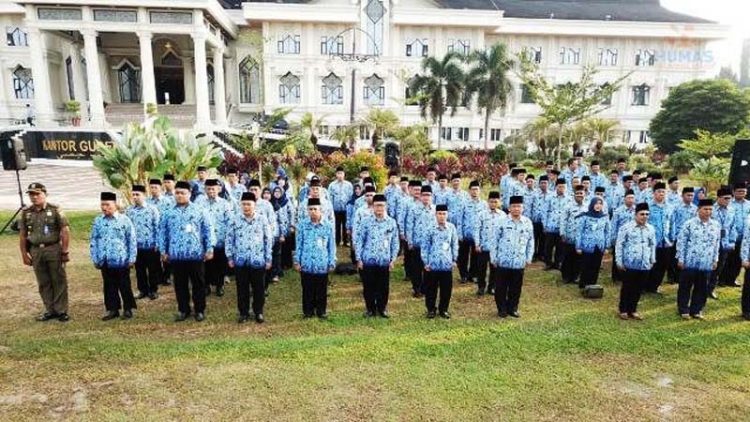 Asn Pemprov Jambi/ Foto: ampar