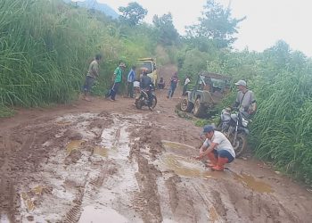 Kondisi Jalan Desa Pematang Pauh