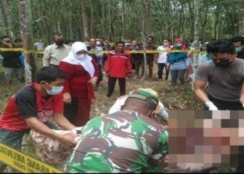 Peristiwa pembunuhan terjadi di Desa TapusKecamatan Lembak, Muara Enim. Koban meninggal dunia setelajh ditusuk seorang wanita di kebun karet, Selasa (17/8/2021).