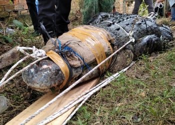 Biaya besar berhasil di tangkap/ ist