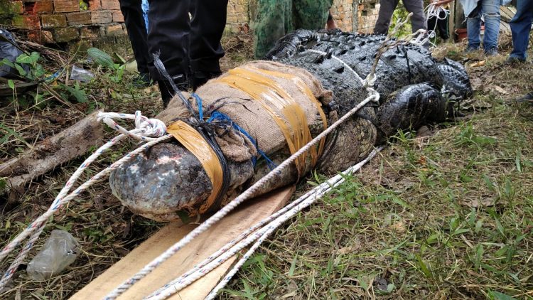 Biaya besar berhasil di tangkap/ ist