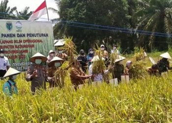Wabub Batanghari Tutup Kegiatan Sekolah Lapang Iklim Oprasional