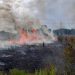 Lahan kosong terbakar di muaro jambi