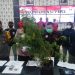 Penampakan ganja hasil tangkapan (foto: doc.polres merangin)