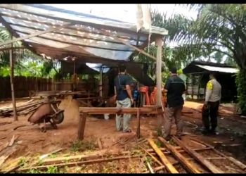Polisi segel tempat pengolahan kayu tanpa izin di Sungai Gelam, Muaro Jambi/ Foto: Ichsan