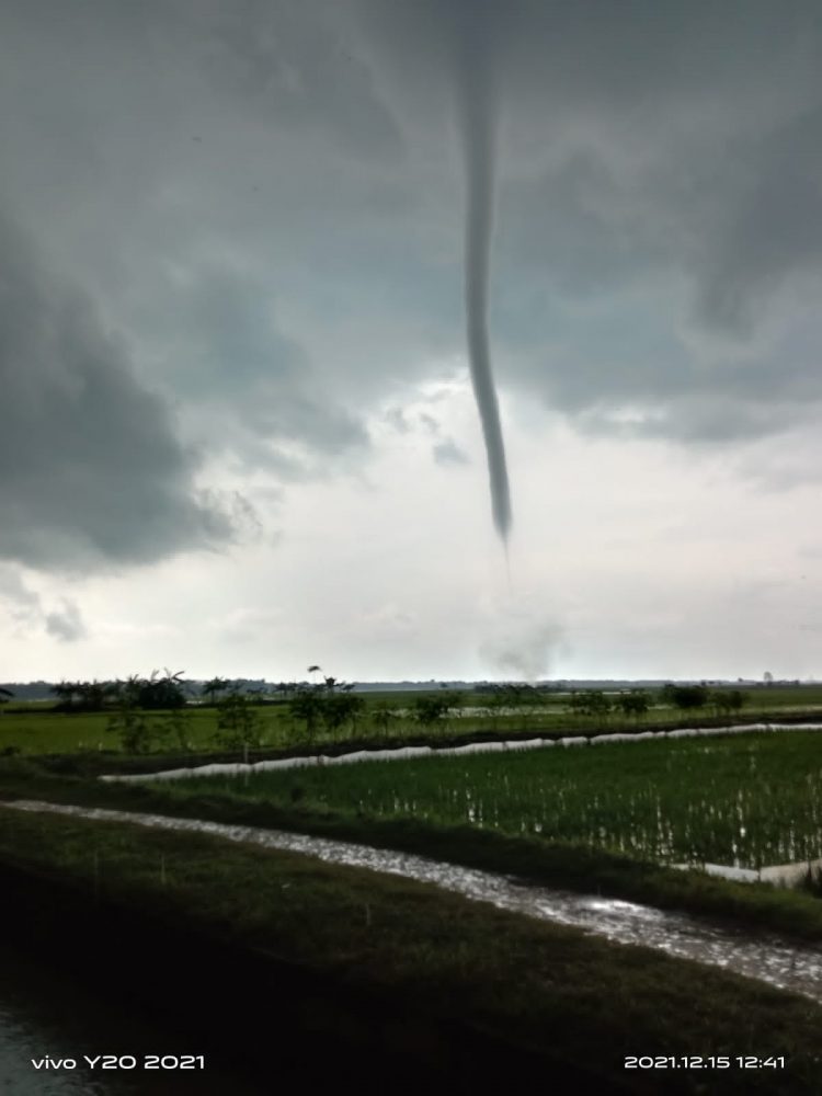 ANgin puting beliung hantam area persawahan warga (Foto; meli ampar)