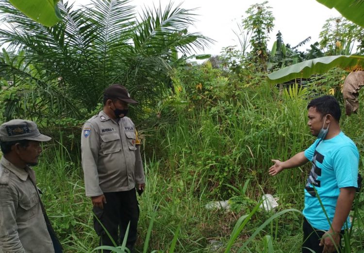 8 Ekor Kambing Warga Dicuri Maling/ AMPAR