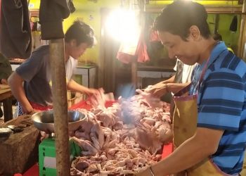 Ikut Minyak Goreng, Harga Ayam Potong di Jambi Meroket/ AMPAR