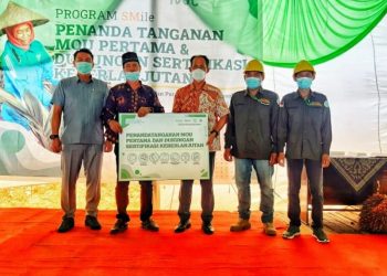 Pemkab Batanghari Bakal Sediakan 93 Ribu Bibit Sawit Subsidi/ ist