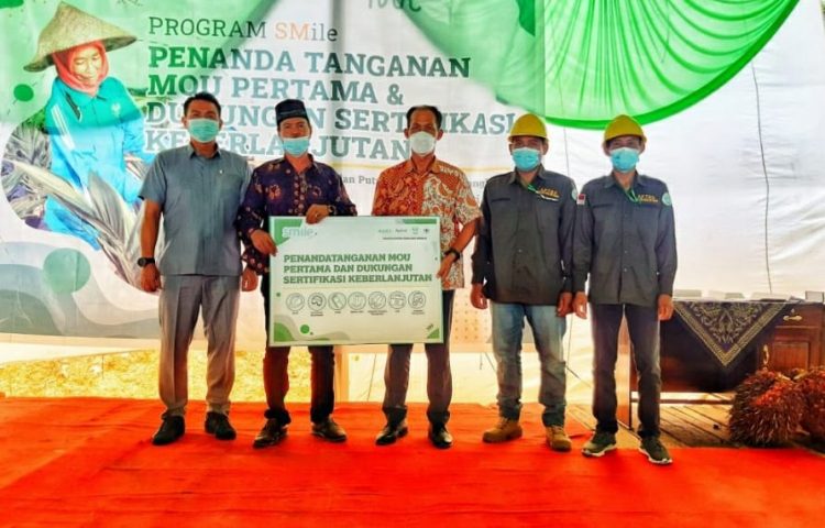 Pemkab Batanghari Bakal Sediakan 93 Ribu Bibit Sawit Subsidi/ ist
