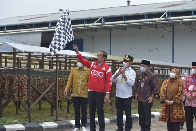 Presiden Jokowi Lepas Ekspor Pinang Biji di Muaro Jambi (Foto: Laily Rachev - Biro Pers Sekretariat Presiden)