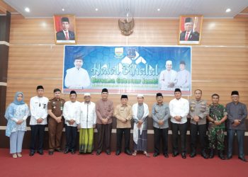 Gubernur Jambi Bantu Tangani Listrik di Tanjabbar
