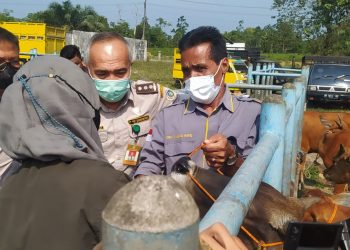 Antisipasi Penyakit PMK, Disbunak Batanghari Tinjau Lokasi Peternakan Hewan