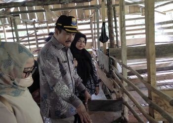 Tinjau PKU Batanghari, Kadishanpan Asraf: Harapanya Bisa Meningkatkan Pendapatan/ doc.ist