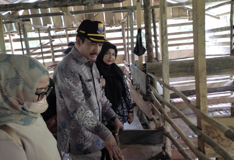 Tinjau PKU Batanghari, Kadishanpan Asraf: Harapanya Bisa Meningkatkan Pendapatan/ doc.ist