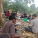 Kunjungi Kelompok Tani Sungai Puar Mandiri, Asraf: Budidaya Kambing Perah Sangat Bagus/doc.ist