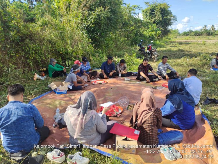 Kadishanpan Jambi Asraf Kunjungi Kelompok Tani Sinar Harapan Desa Pudak/doc.ist
