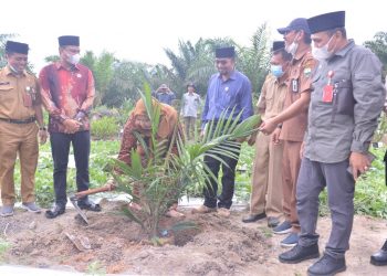 Masnah Menghadiri Halal Bi Halal, Tanam Perdana, Penaburan Pupuk Serta Peremajaan Sawit