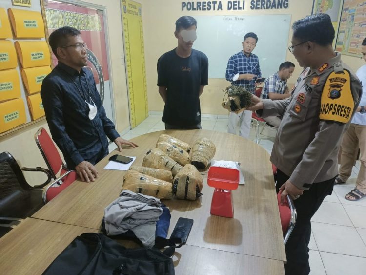 Sat Narkoba Polresta Deli Serdang berhasil amankan 8 bungkus Narkotika golongan I Jenis Ganja/ doc.ist