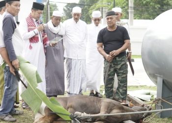 Bank 9 Jambi Kurban 53 Sapi