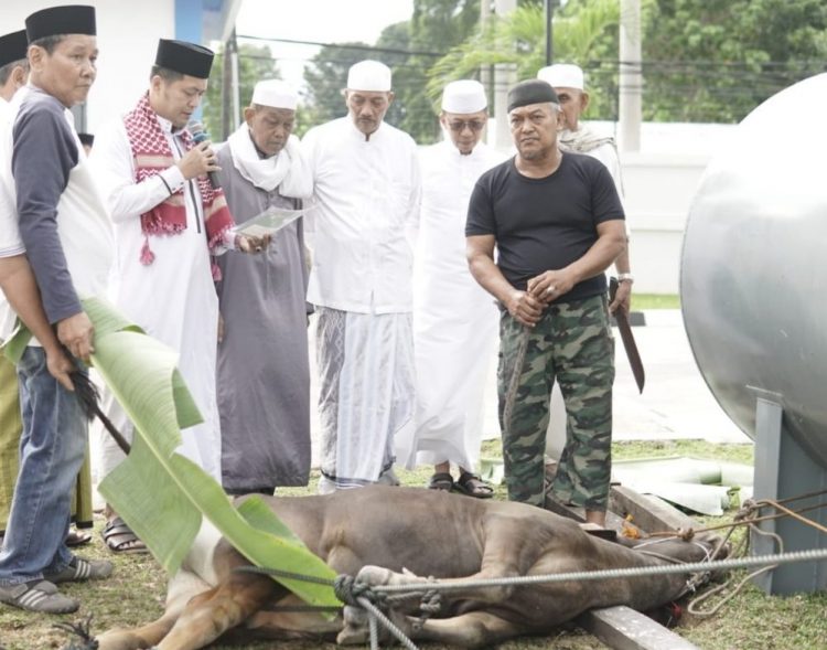 Bank 9 Jambi Kurban 53 Sapi