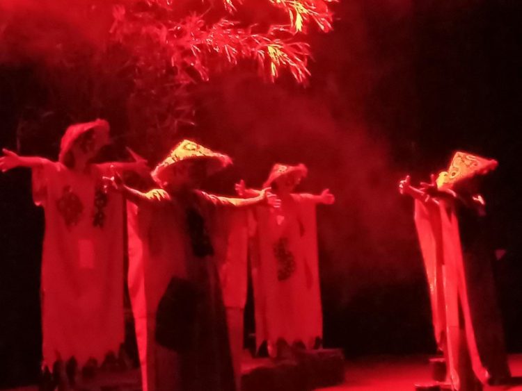 Saksikan Lesung Luci di Gedung Teater Arena Taman Budaya Jambi/ doc.ist
