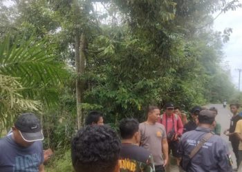 Gegara Jual Sabu, Pria Paruh Baya Diringkus Polisi/ Doc.Ist