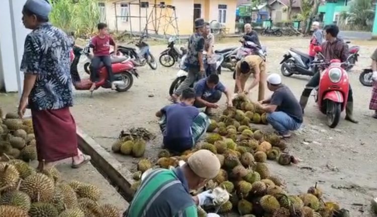 Ribuan buah durian hasil infaq dikumpulkan di halaman masjid/ doc.ist