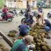 Ribuan buah durian hasil infaq dikumpulkan di halaman masjid/ doc.ist