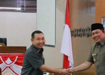Wakil Bupati, Hairan./ doc.ist