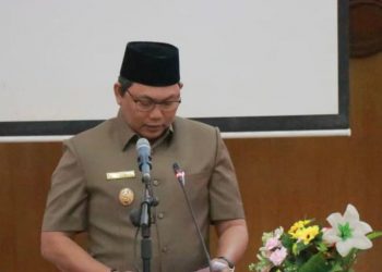 Wakil Bupati Tanjung Jabung Barat, Hairan./ doc.ist