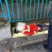 Junaidi TKI di Malaysia asal Jambi ditemukan tewas di Pinggir jalan/ Doc.ist
