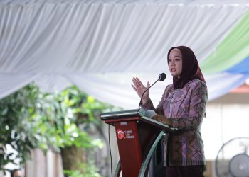 Anggota Dewan Komisioner OJK Bidang Edukasi dan Perlindungan Konsumen, Friderica Widyasari Dewi/ doc.ist