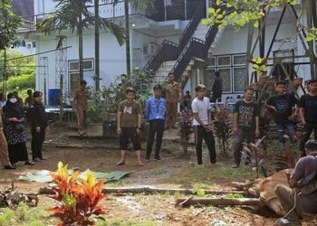 Kominfo Tanjabtim Melaksanakan penyembelihan Hewan Qurban berupa 1 ekor Sapi./ doc.ist