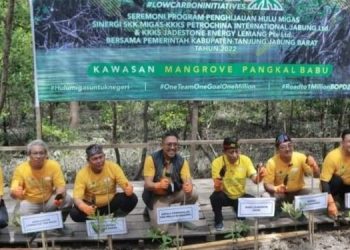 kegiatan program penghijauan Hulu Migas di kawasan Mangrove Pangkal Babu./ doc.ist
