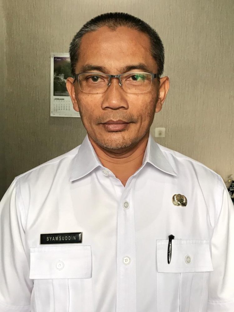 Kadis Kominfo Kabupaten Asahan, Syamsuddin./ DOC.IST