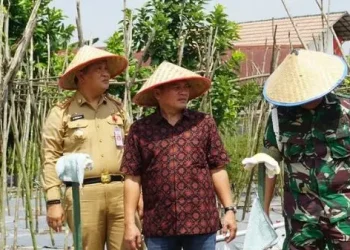 DPRD Kota Jambi Hadiri Program Payo Menanam Cabe./ doc.ist