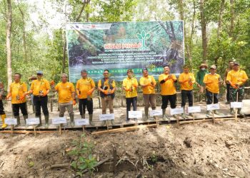 SKK Migas dan KKKS Sumbagsel melakukan penanaman Puluhan ribu pohon mangrove di lahan sekitar 5 hektar di Taman Wisata Mangrove Pangkal Babu Kabupaten Tanjung Jabung Barat./ DOC.IST