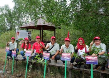 Yayasan Astra Honda Motor (Yayasan AHM) melakukan penanaman 1.000 pohon mangrove rambai./ doc.ist