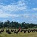 Suasana Penutupan Perkemahan Pencak Silat HIMSSI GP, di Bumi Perkemahan Kinasih. Selasa (2/1). Foto: Alan?Ampar