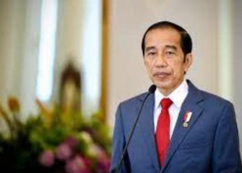 Presiden Jokowi Dodo/ (Foto: Sekretariat Negara)