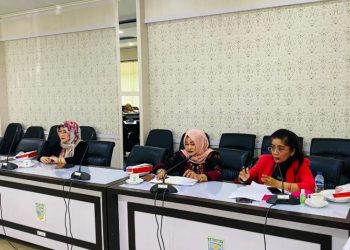 Dok Istimewa