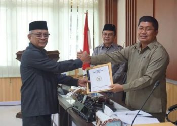 Dok Istimewa