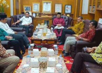 Dok Istimewa