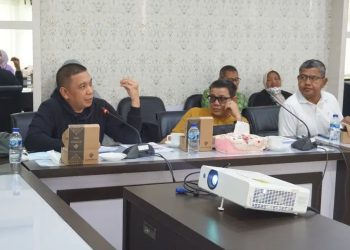 Dok Istimewa